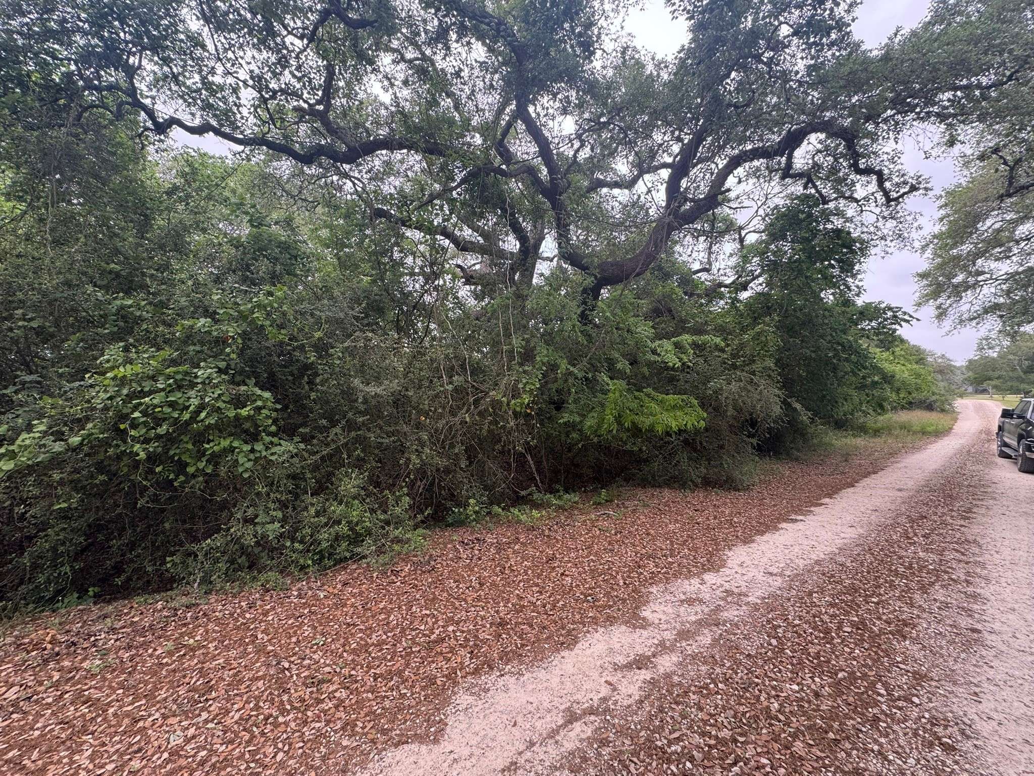 Palacios, TX 77465,TBD Grand Oak 1