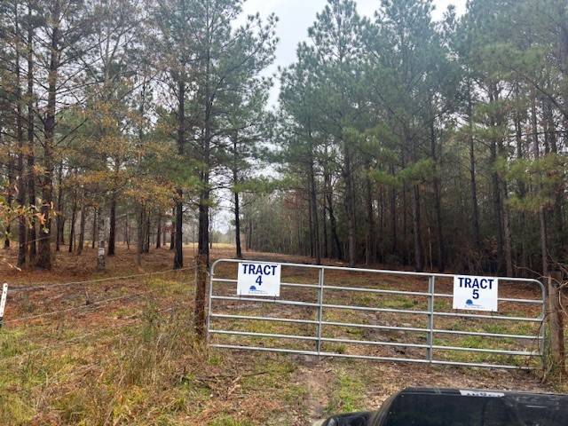 Leggett, TX 77350,TBD Private Road