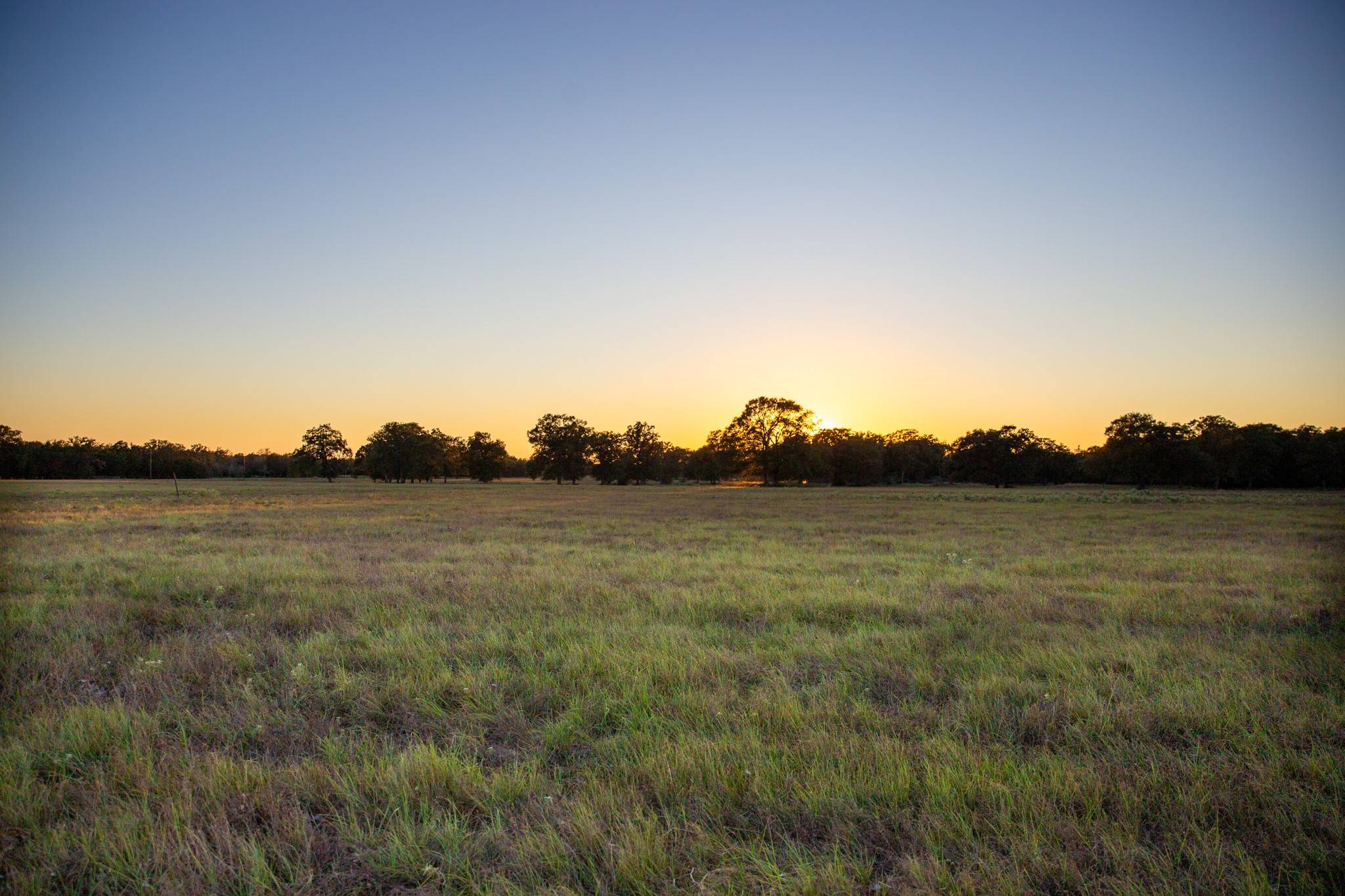 New Ulm, TX 78950,TBD Cummins Creek Road