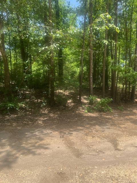 Coldspring, TX 77331,Lot 437 & 438 Hidden Circle