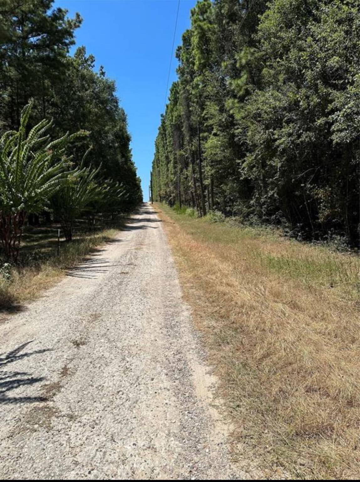 Conroe, TX 77316,1000 Mohawk