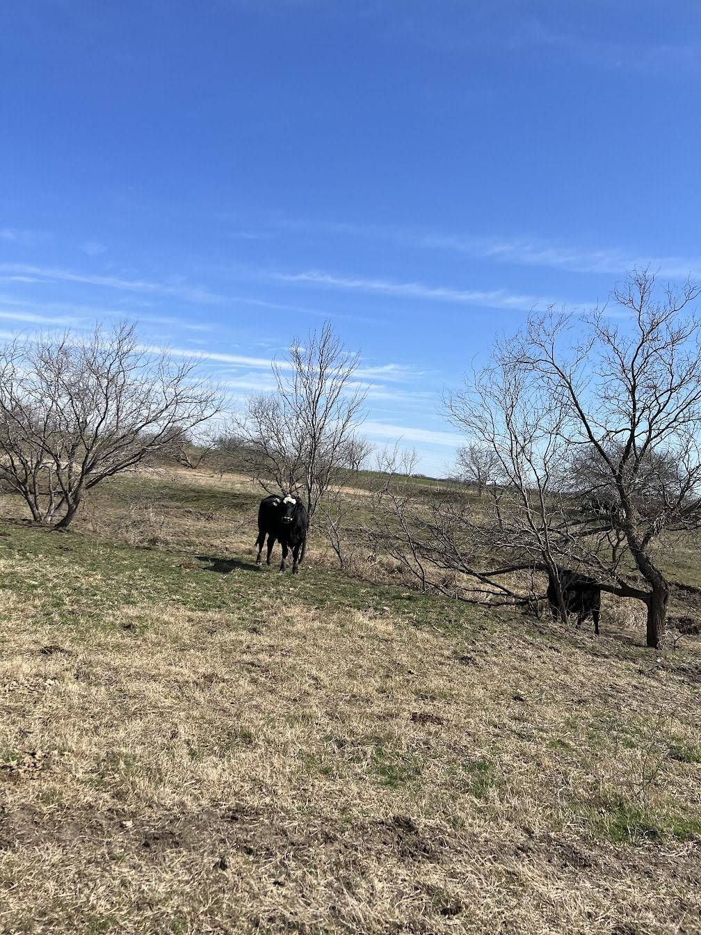 Grandview, TX 76050,208 HCR 4149