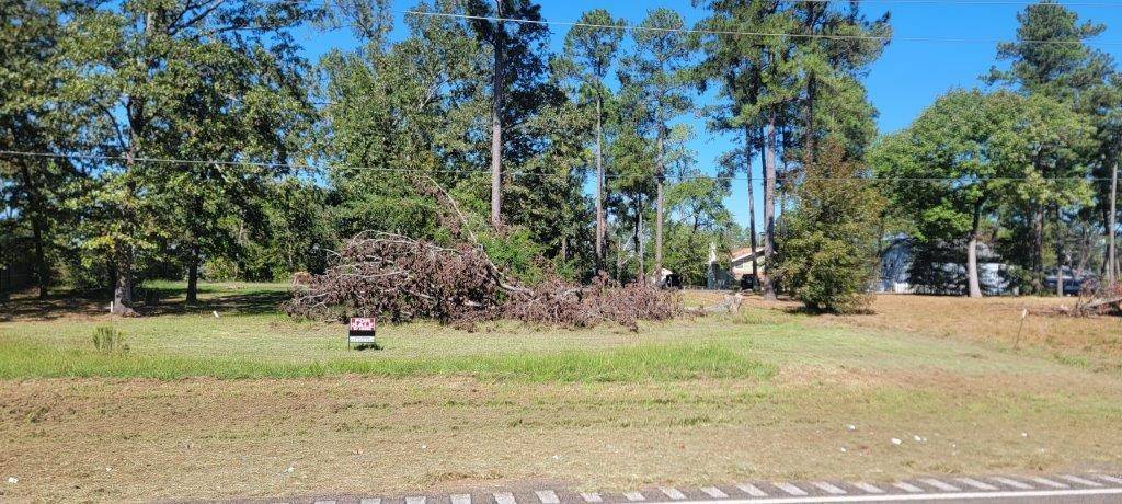 Livingston, TX 77351,00 Palmetto Drive