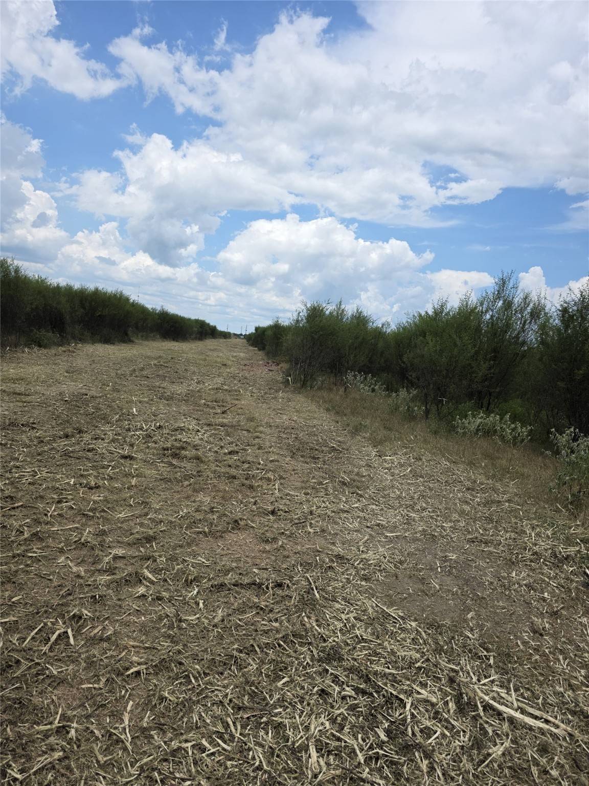 Hempstead, TX 77445,36847 Richard Frey 1-19 RD #19