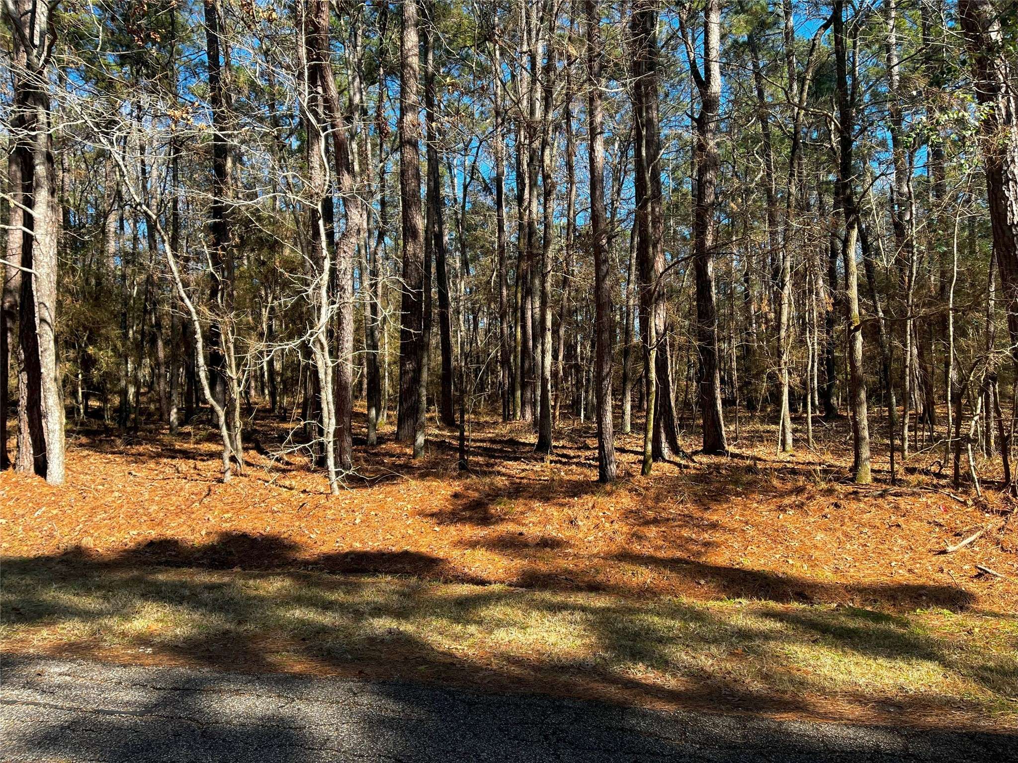 Coldspring, TX 77331,55 Green Tree DR