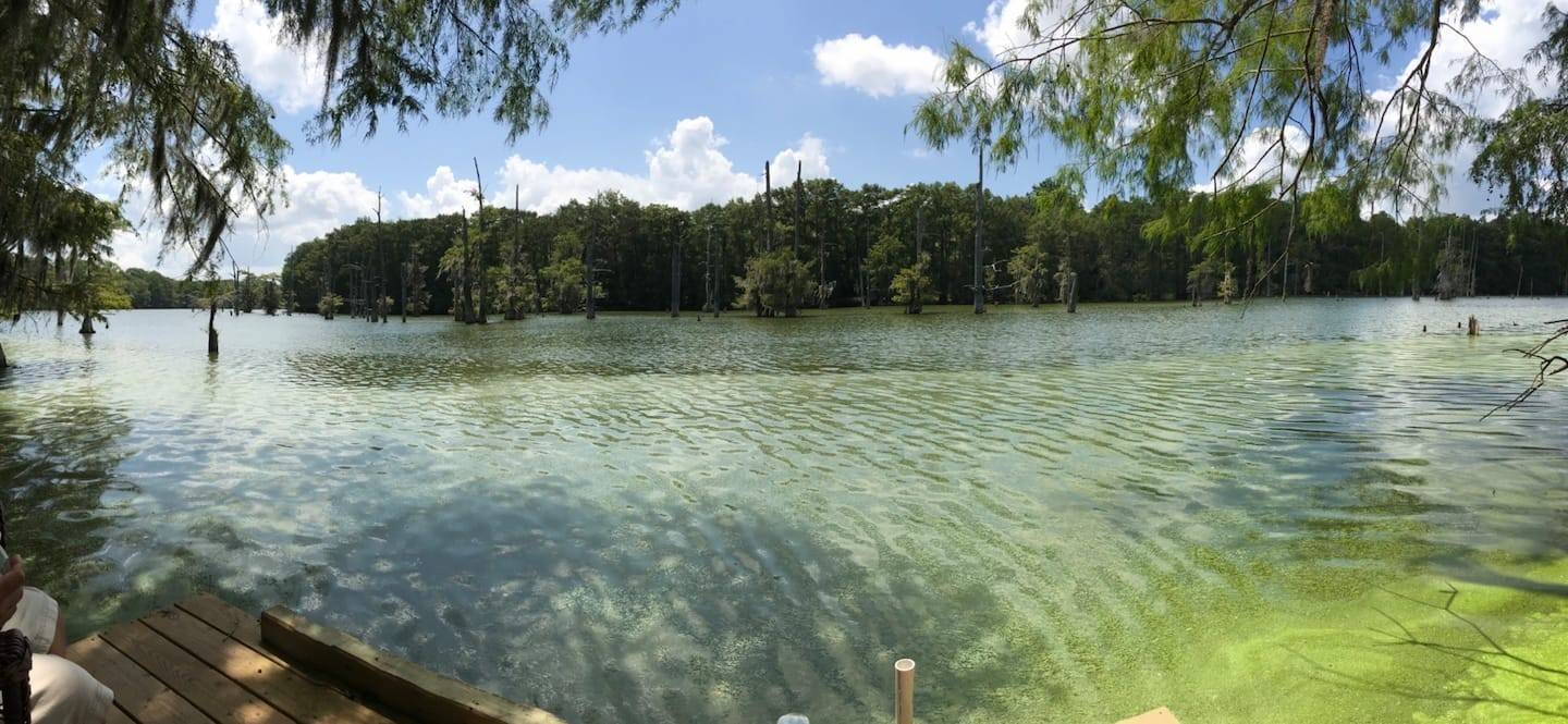 Cleveland, TX 77327,Lot 377 Unruh DR