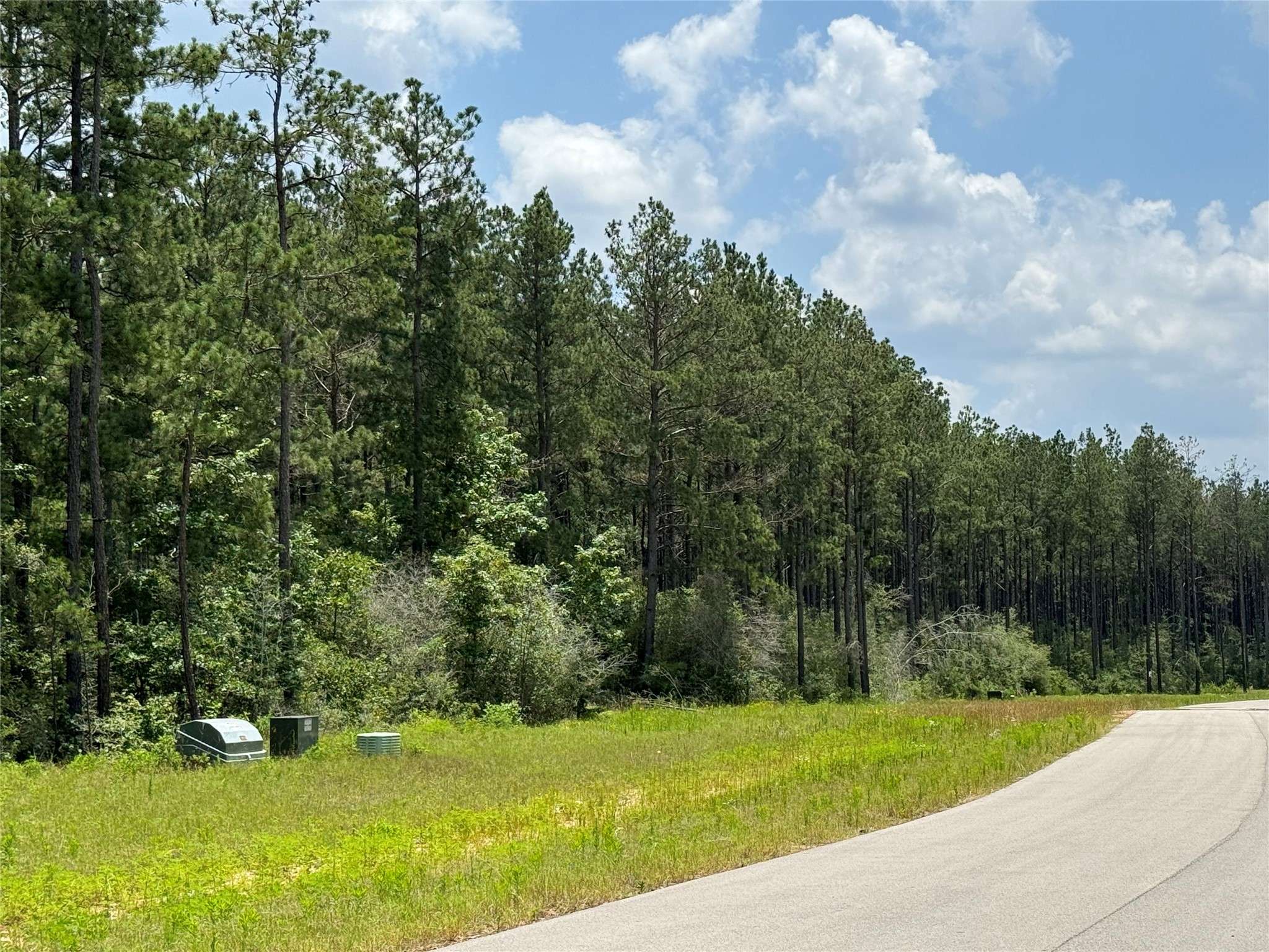 Willis, TX 77378,15780 Wooded Trail WAY