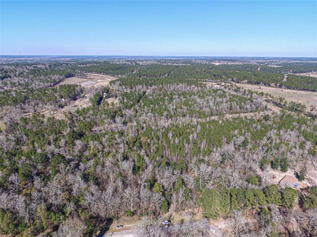 Livingston, TX 77351,000 Magnolia Duke Dr