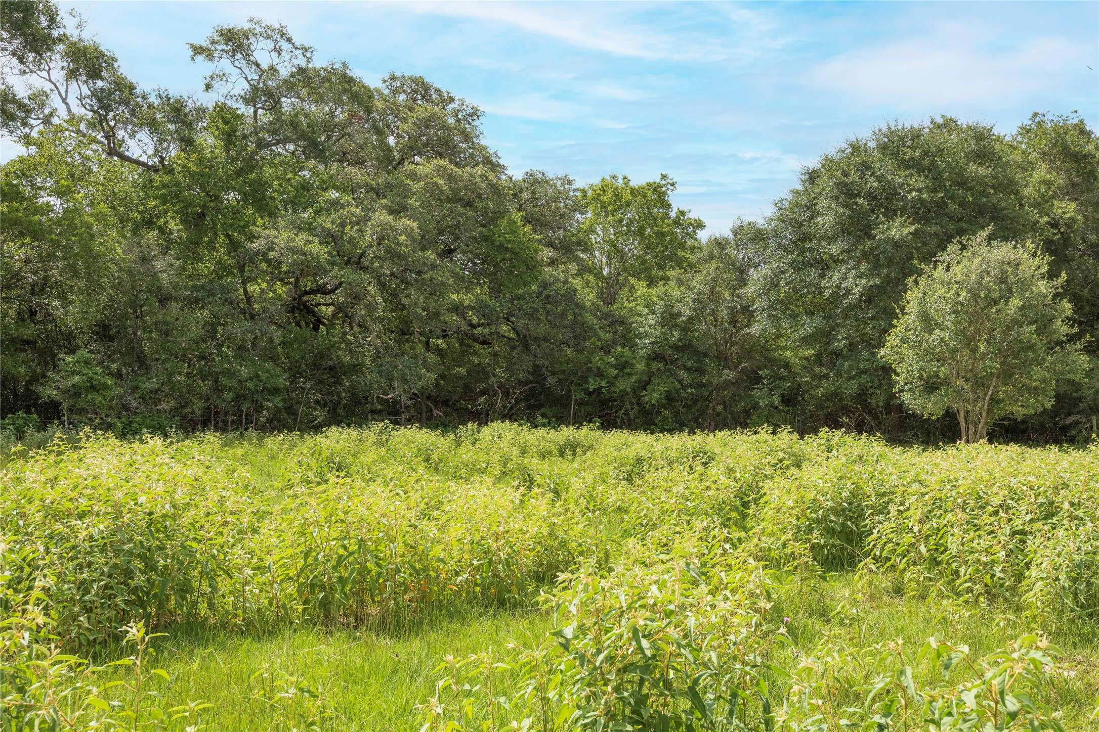 Hallettsville, TX 77964,TBD CR 212 - Tract 5