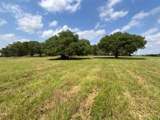 Columbus, TX 78934,1670 Big Easy Ranch Lane