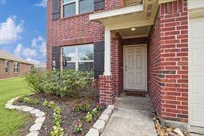Tomball, TX 77375,23606 Eldarica Pine CT