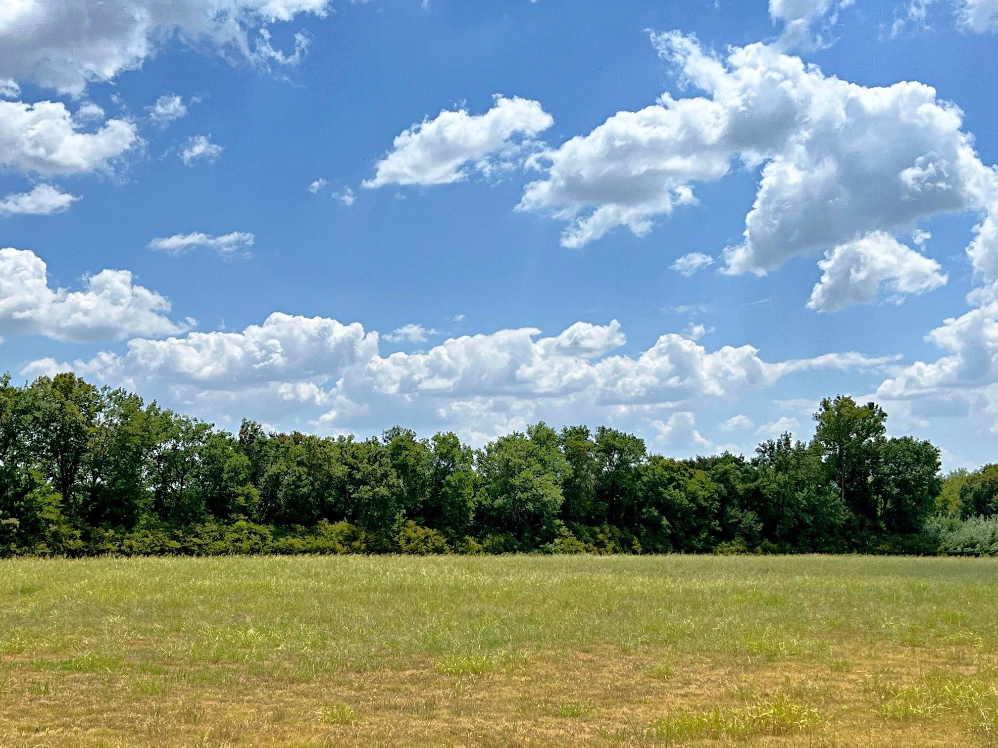 Brenham, TX 77833,8502 Sandy Hill RD