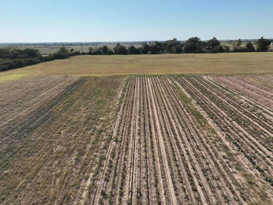 Waller, TX 77484,14126 Penick RD