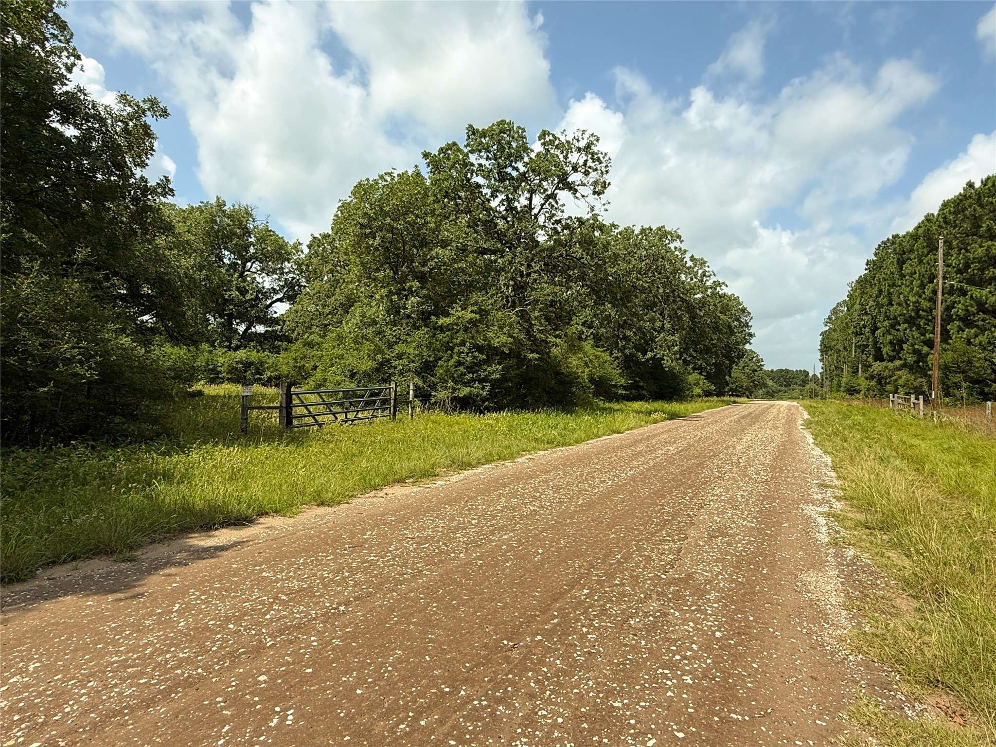 Oakwood, TX 75855,TBD Tract 9 County Road 261