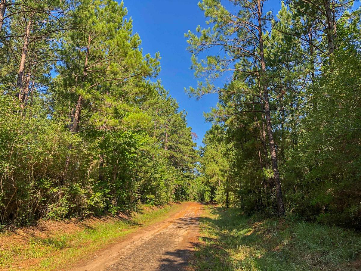 Zavalla, TX 75980,00 CR 367