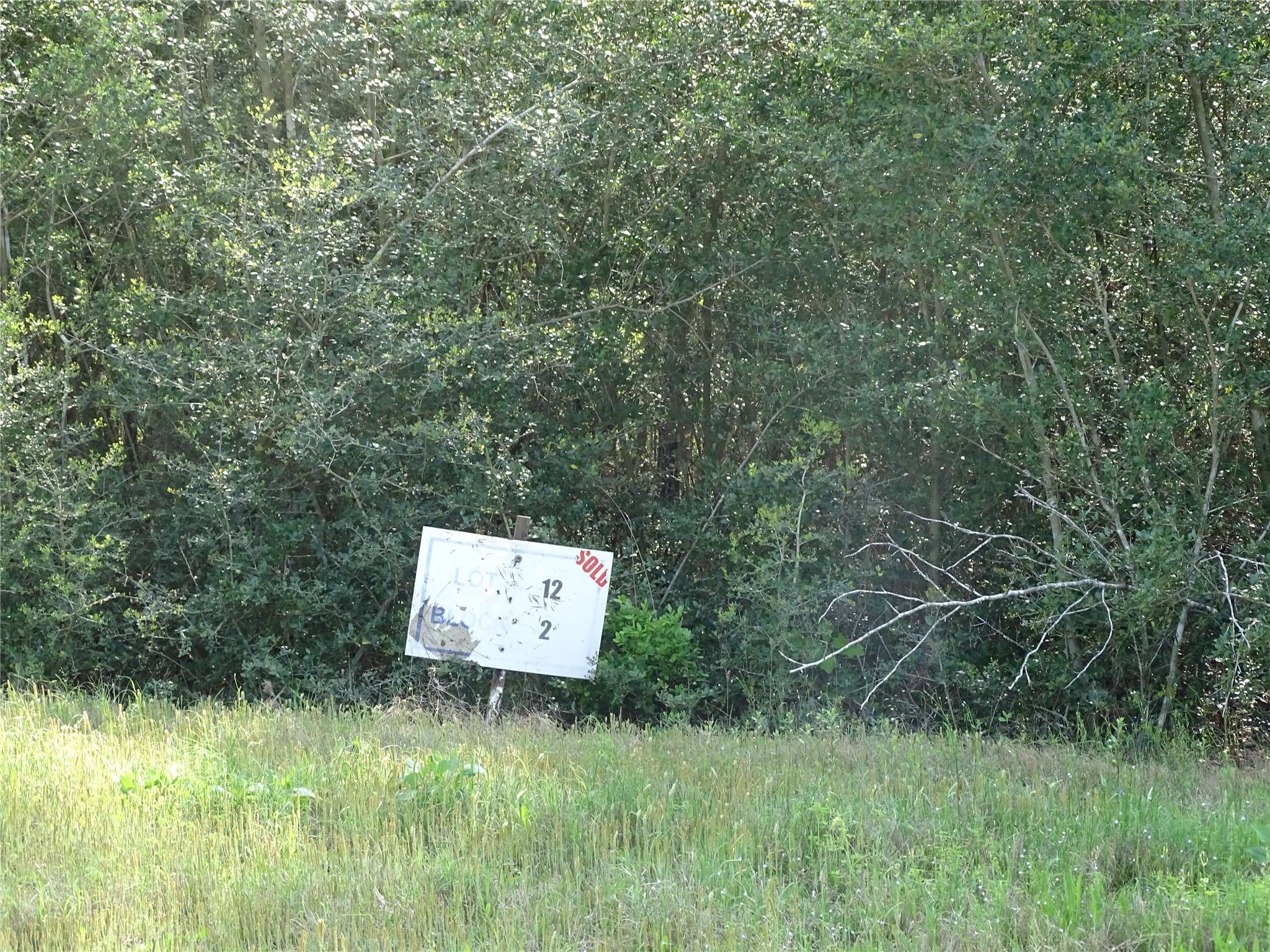 Willis, TX 77378,10774 Ruger RD