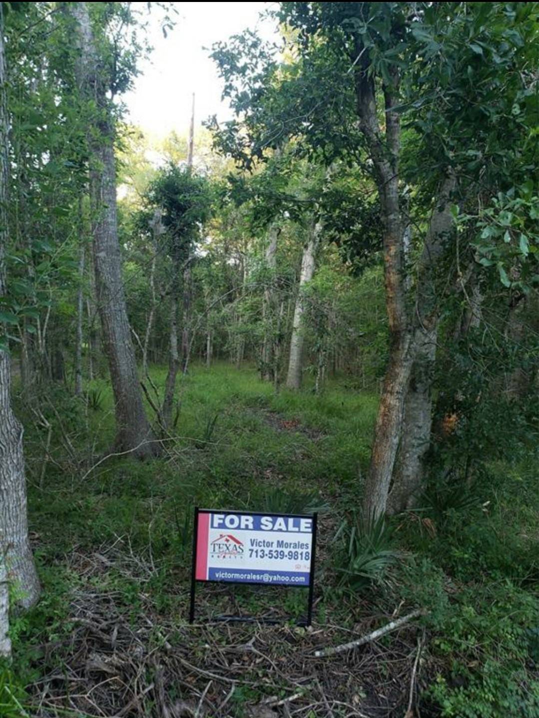 Damon, TX 77430,0 Brazos River RD