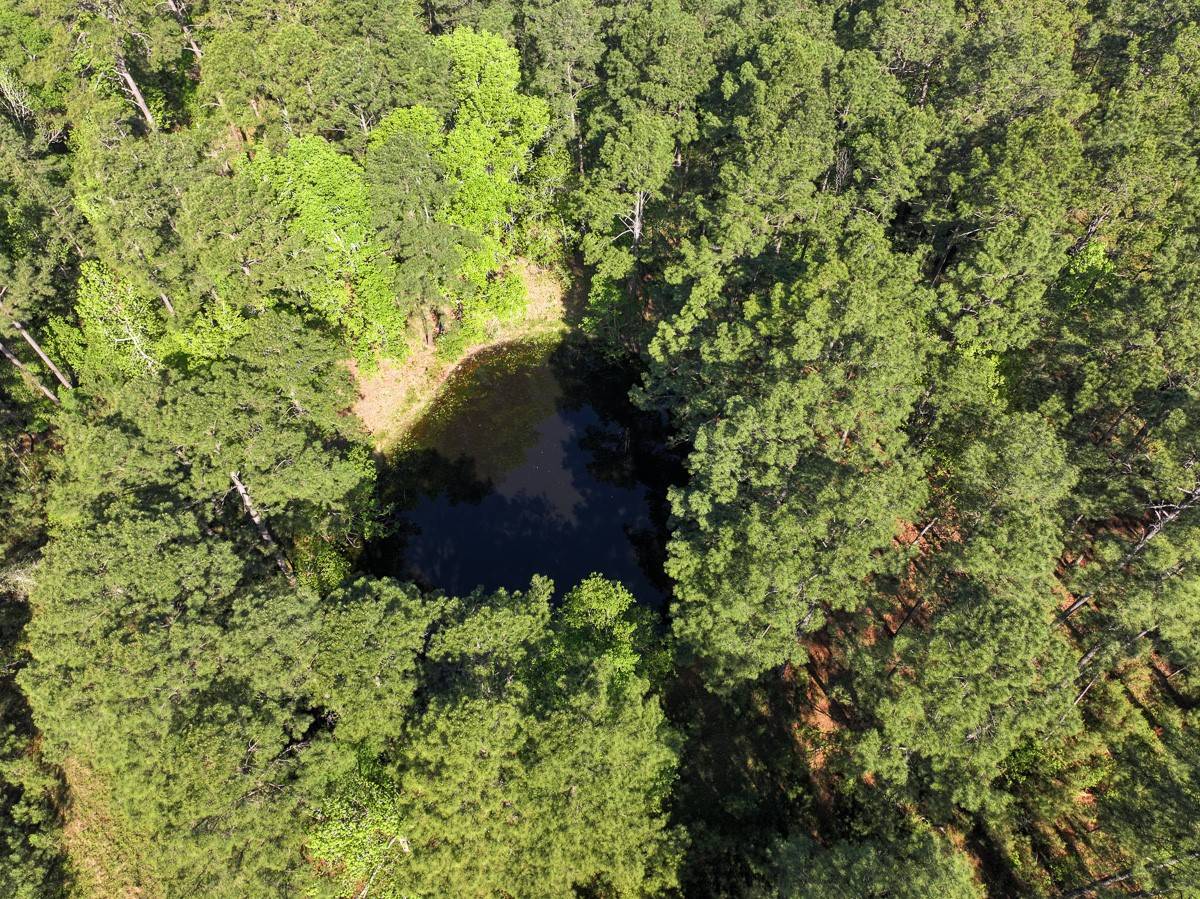 Huntsville, TX 77320,000 US Highway 190