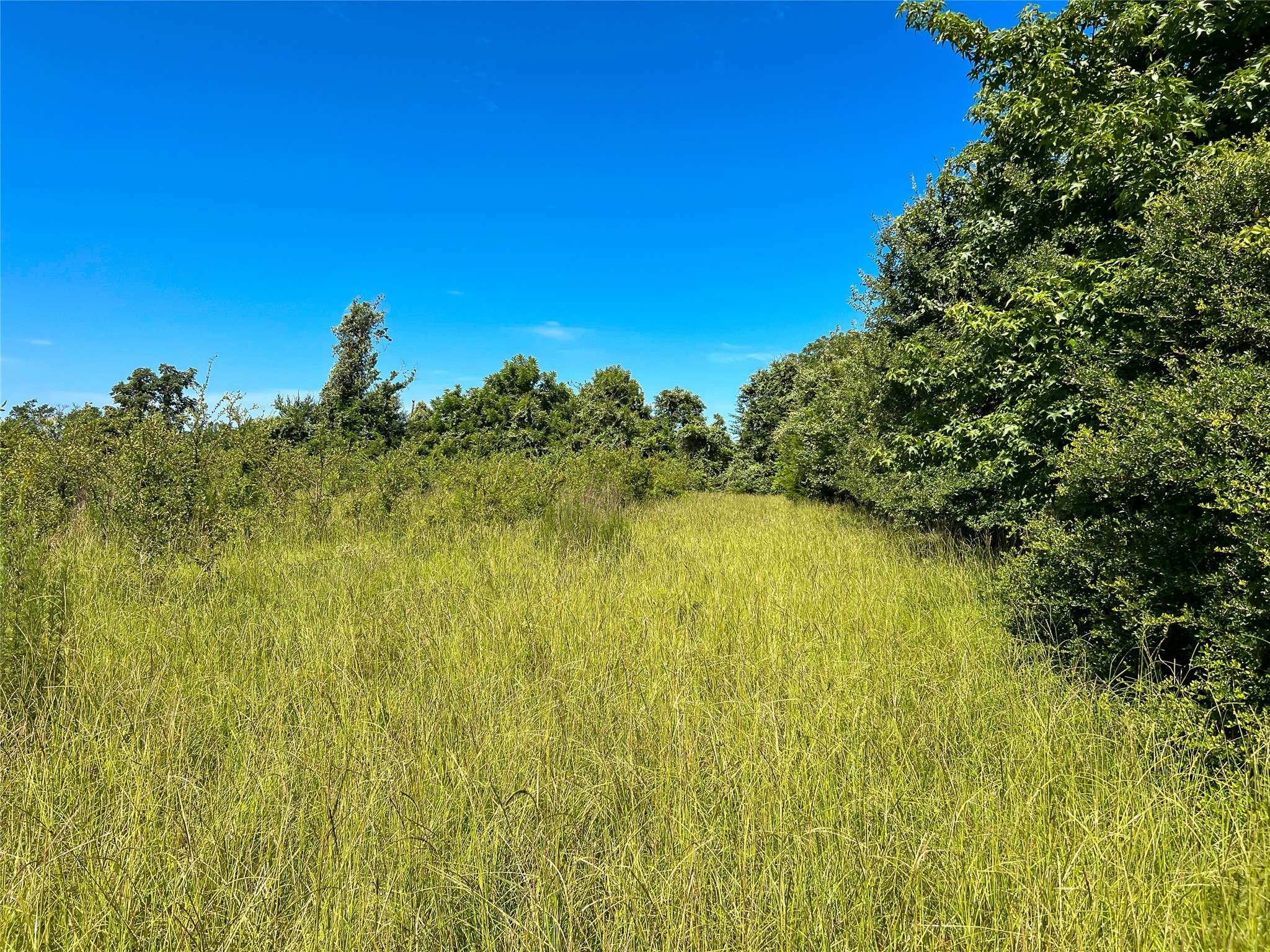 Oakwood, TX 75855,na FCR 280