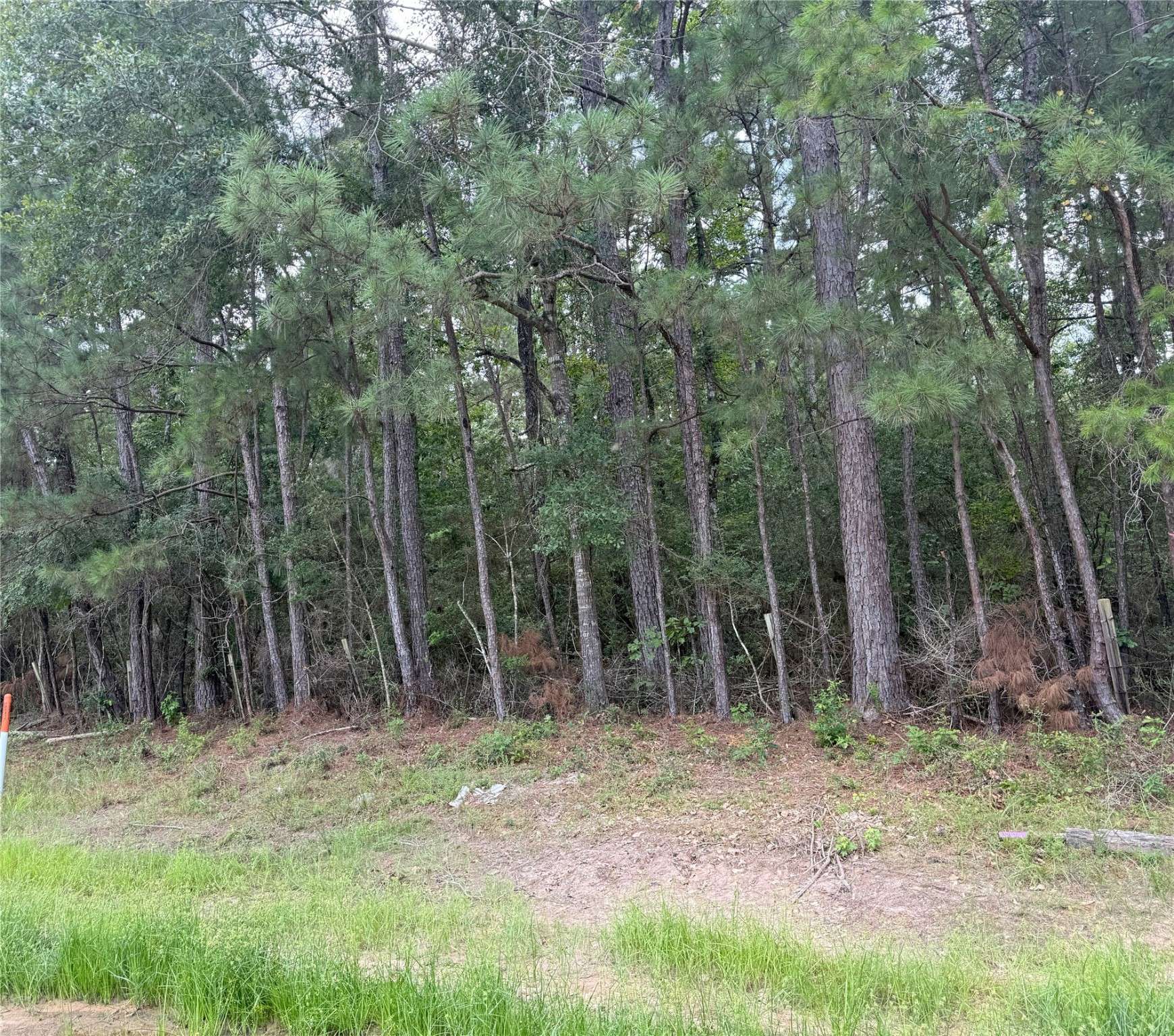 Point Blank, TX 77364,TBD Fm-980 N