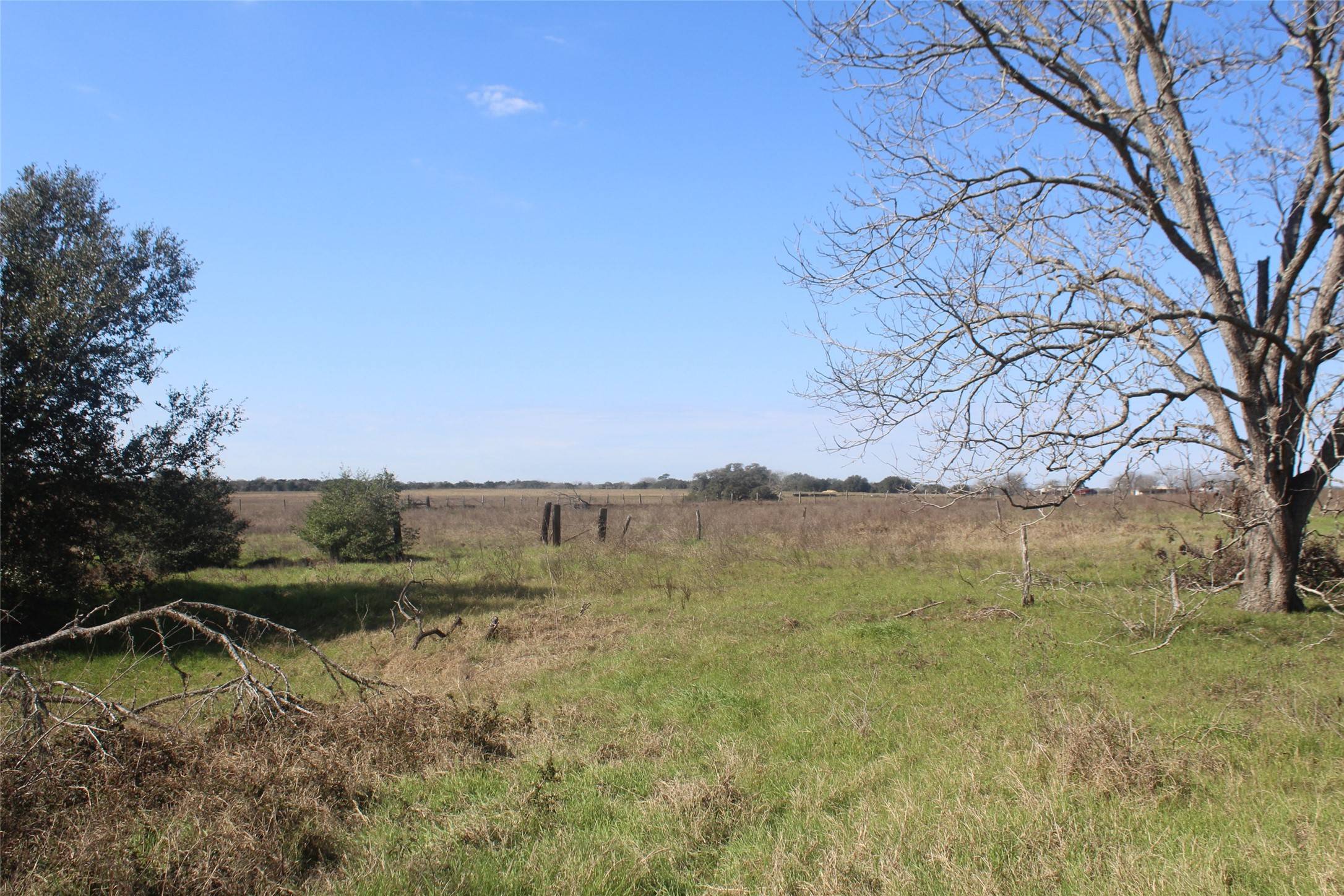 Schulenburg, TX 78956,336 Fayette County Line Road 336