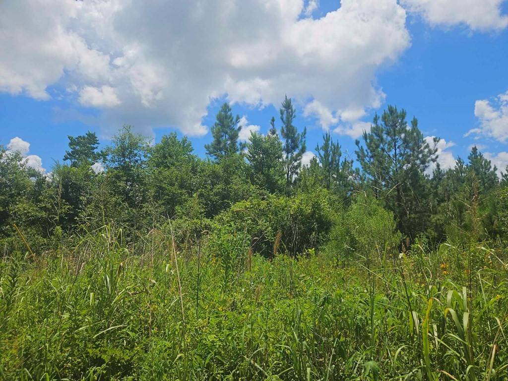 Huntington, TX 75949,1455 Neal Road