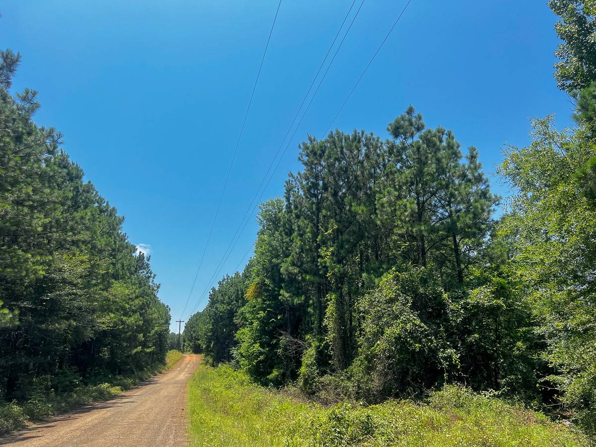 Milam, TX 75948,06 Bayou Road