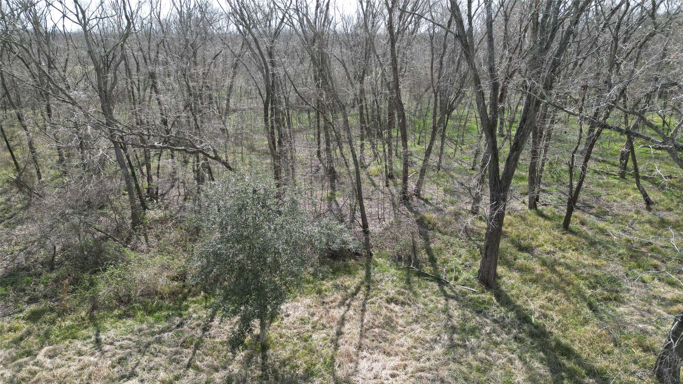 Rosharon, TX 77583,0 County Road 897