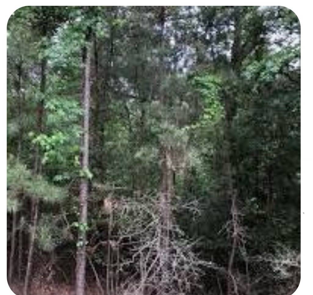 Huntsville, TX 77320,306 Tony Place
