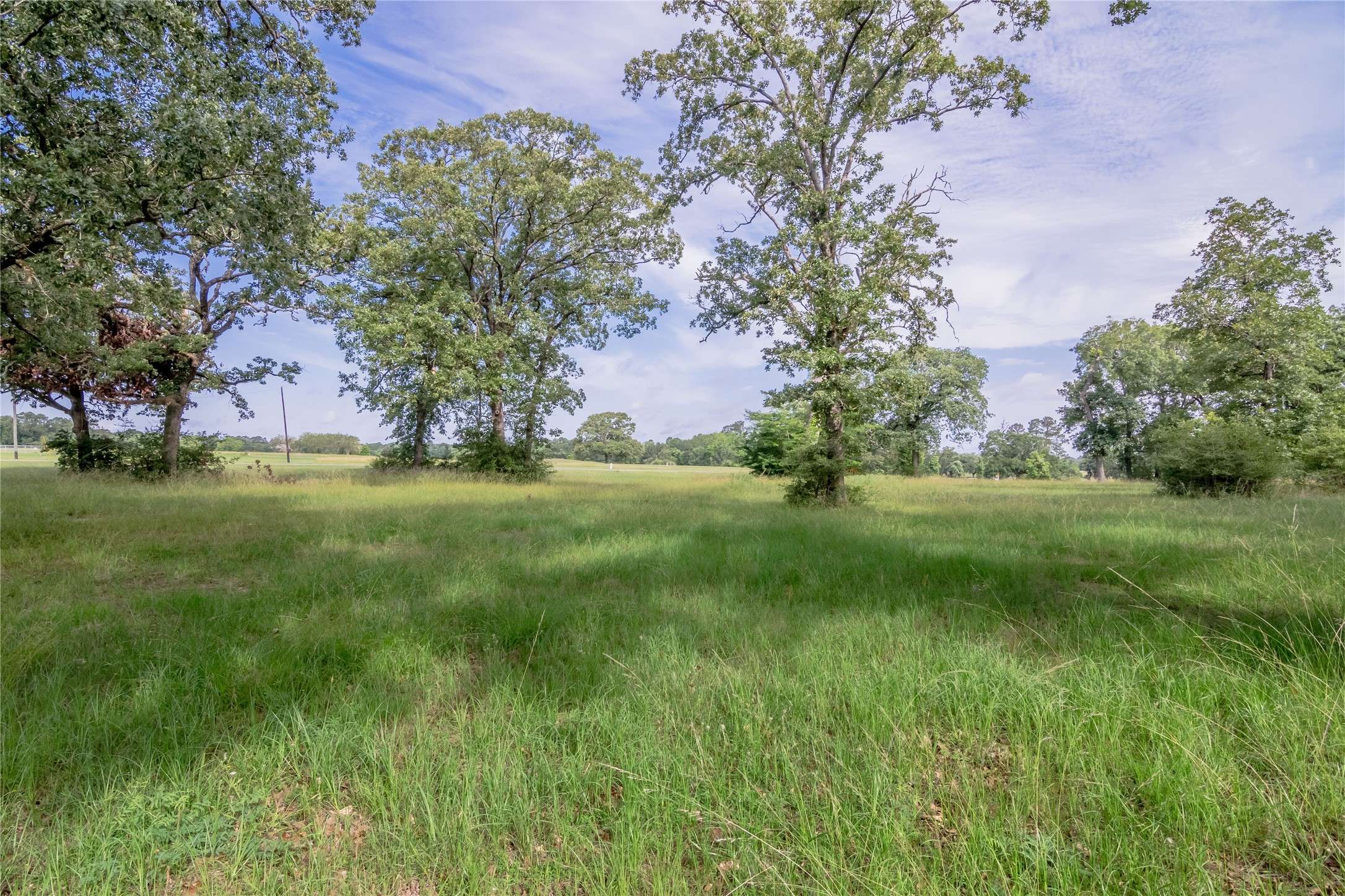 Trinity, TX 75862,353 Tara DR