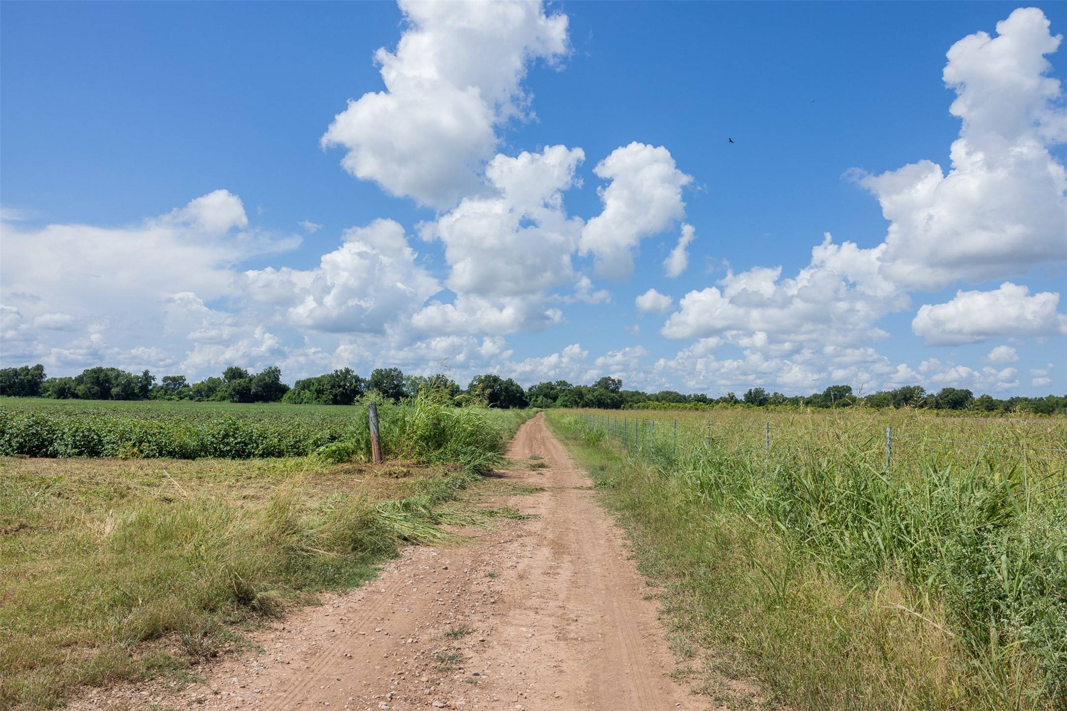 Snook, TX 77878,000 FM 50