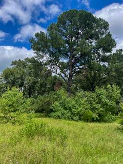 Huntsville, TX 77320,TBD Jenkins Road