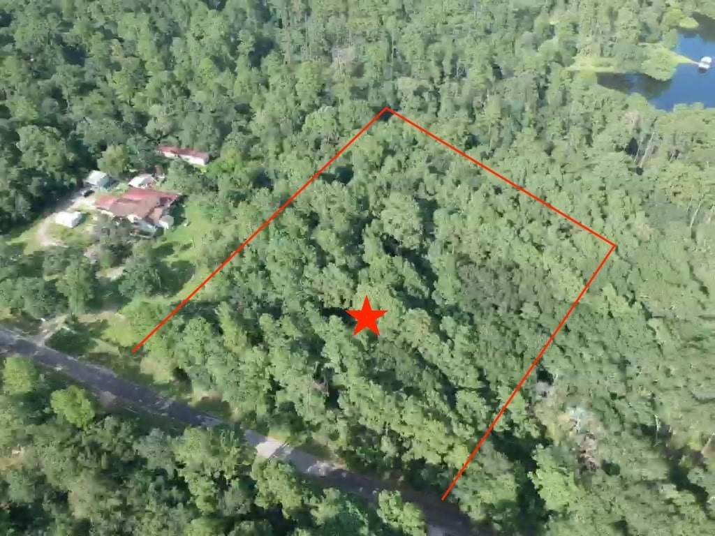 Plantersville, TX 77363,TBD Grand Flower DR