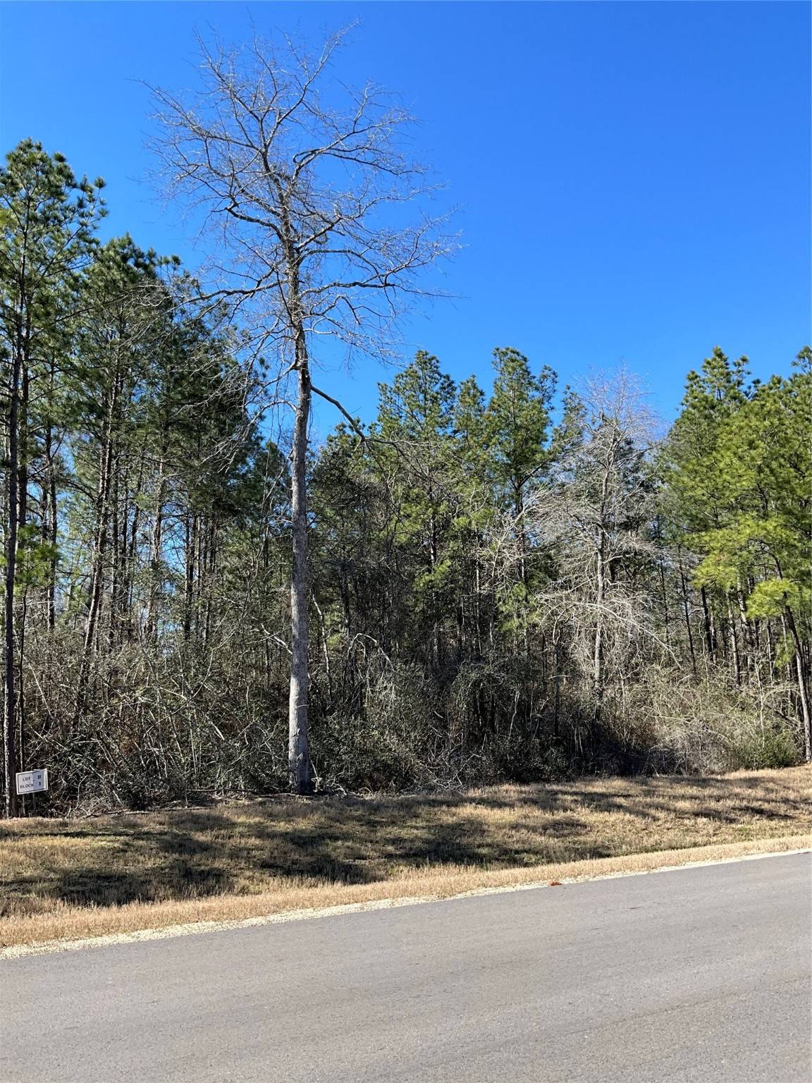 Willis, TX 77378,341 Exploration RD