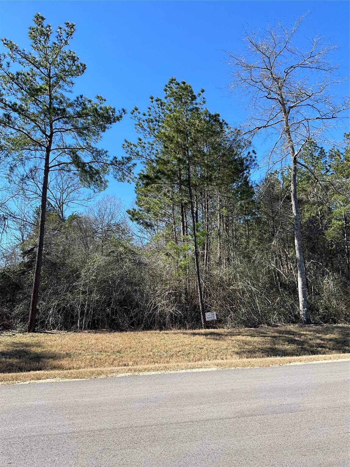 Willis, TX 77378,341 Exploration RD