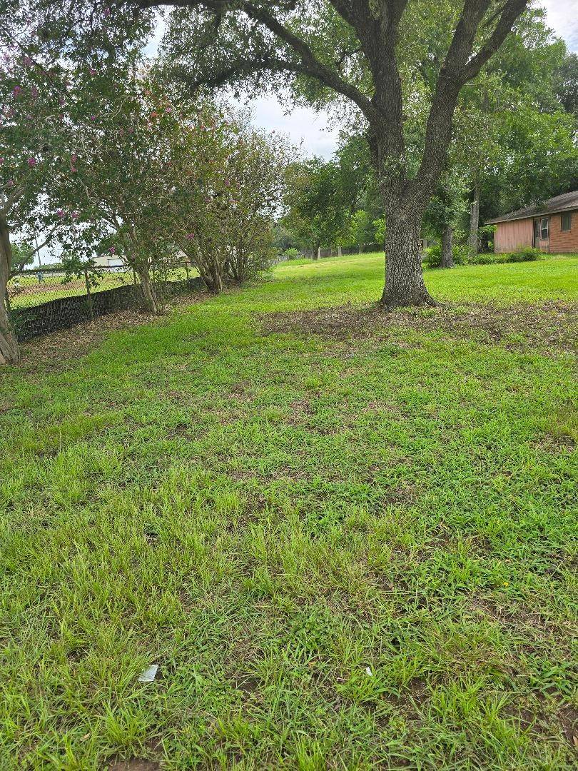 Sealy, TX 77474,2420 Fm 1094 RD