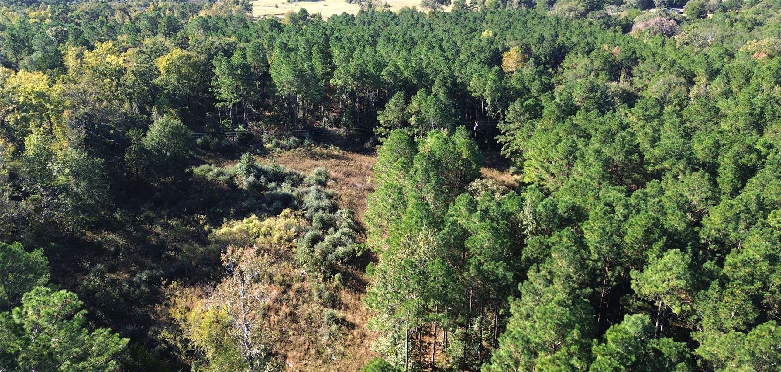 Grapeland, TX 75844,TBD CR 2265