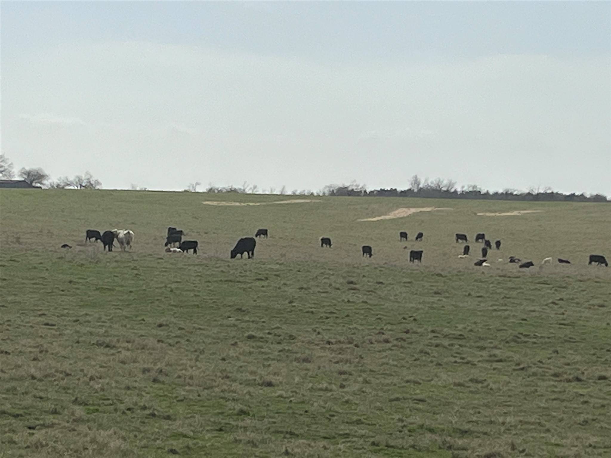 Cameron, TX 76520,000 00 CR 140