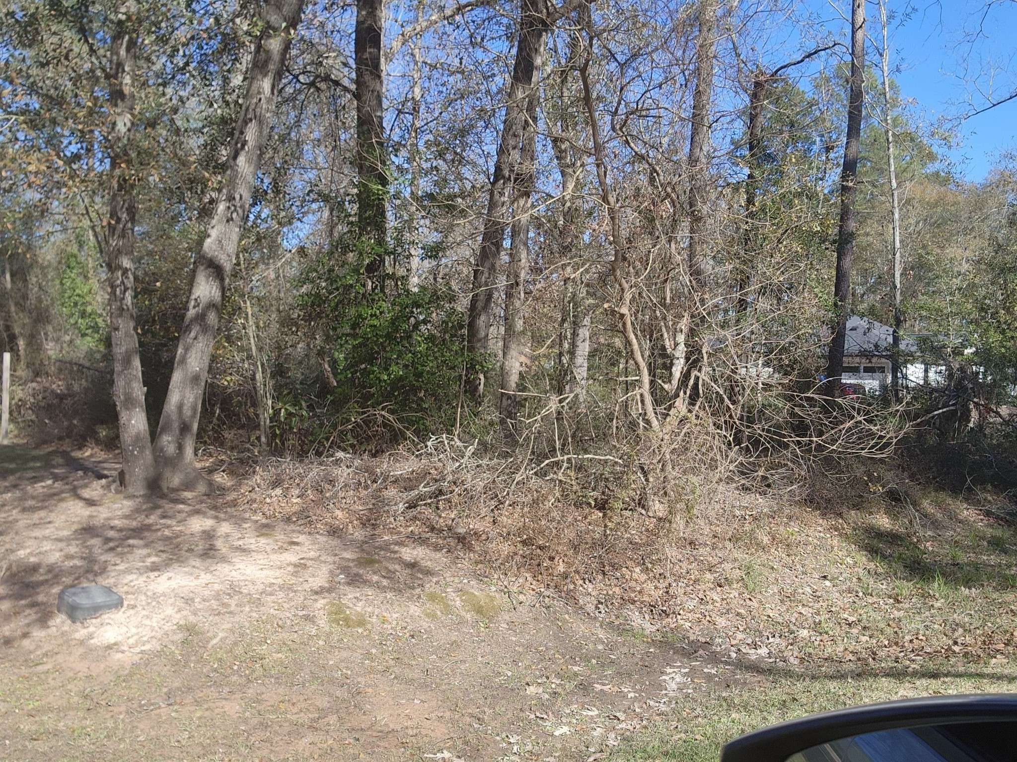 New Caney, TX 77357,307 Magnolia Bend DR