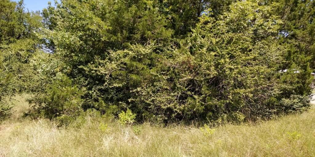 Gordonville, TX 76245,Lots 632 & 633 Shoshone DR
