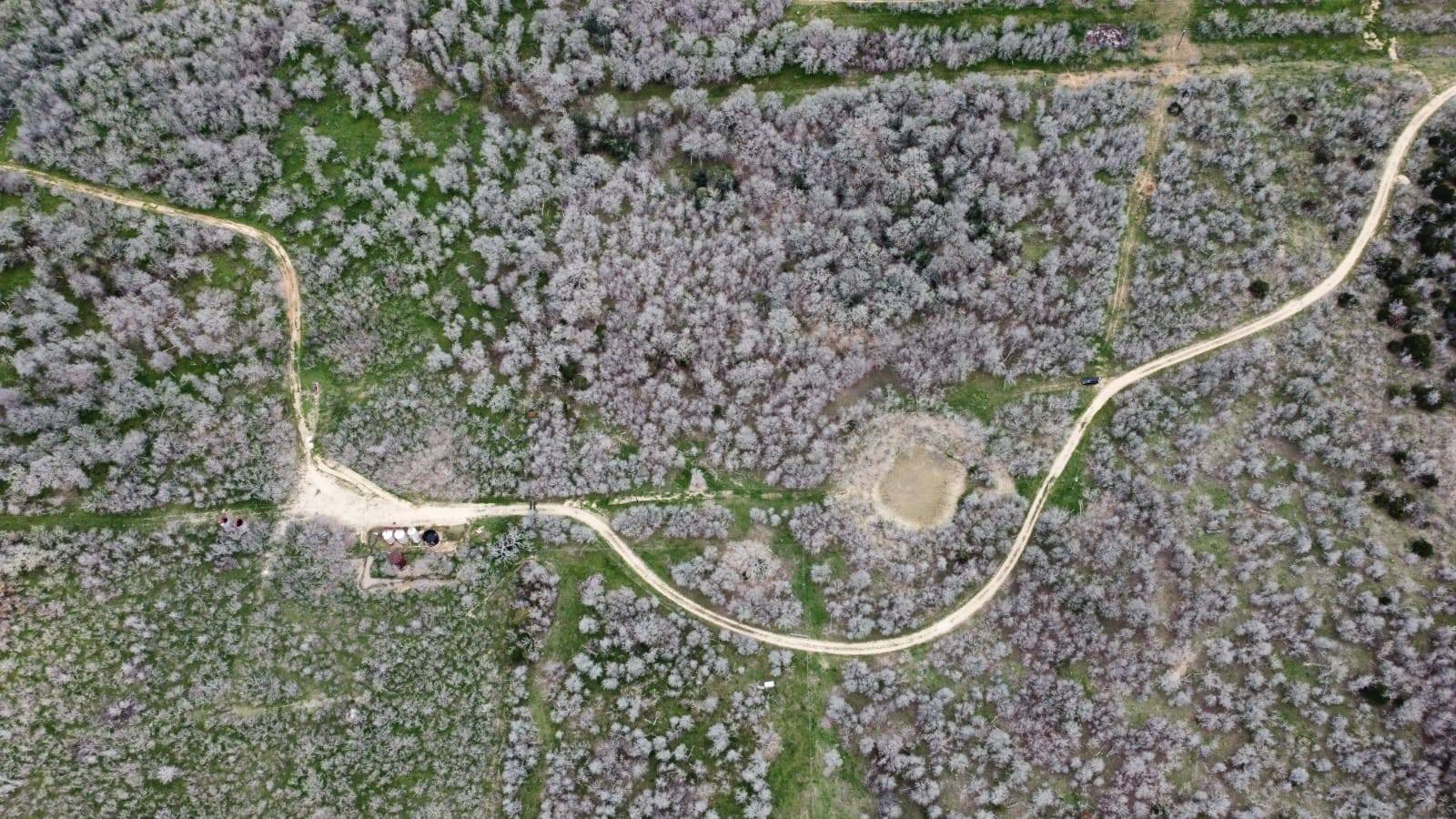 Red Rock, TX 78662,TBD FM 812