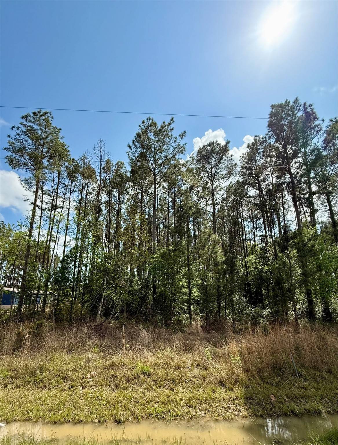 Cleveland, TX 77327,516 County Road 3548