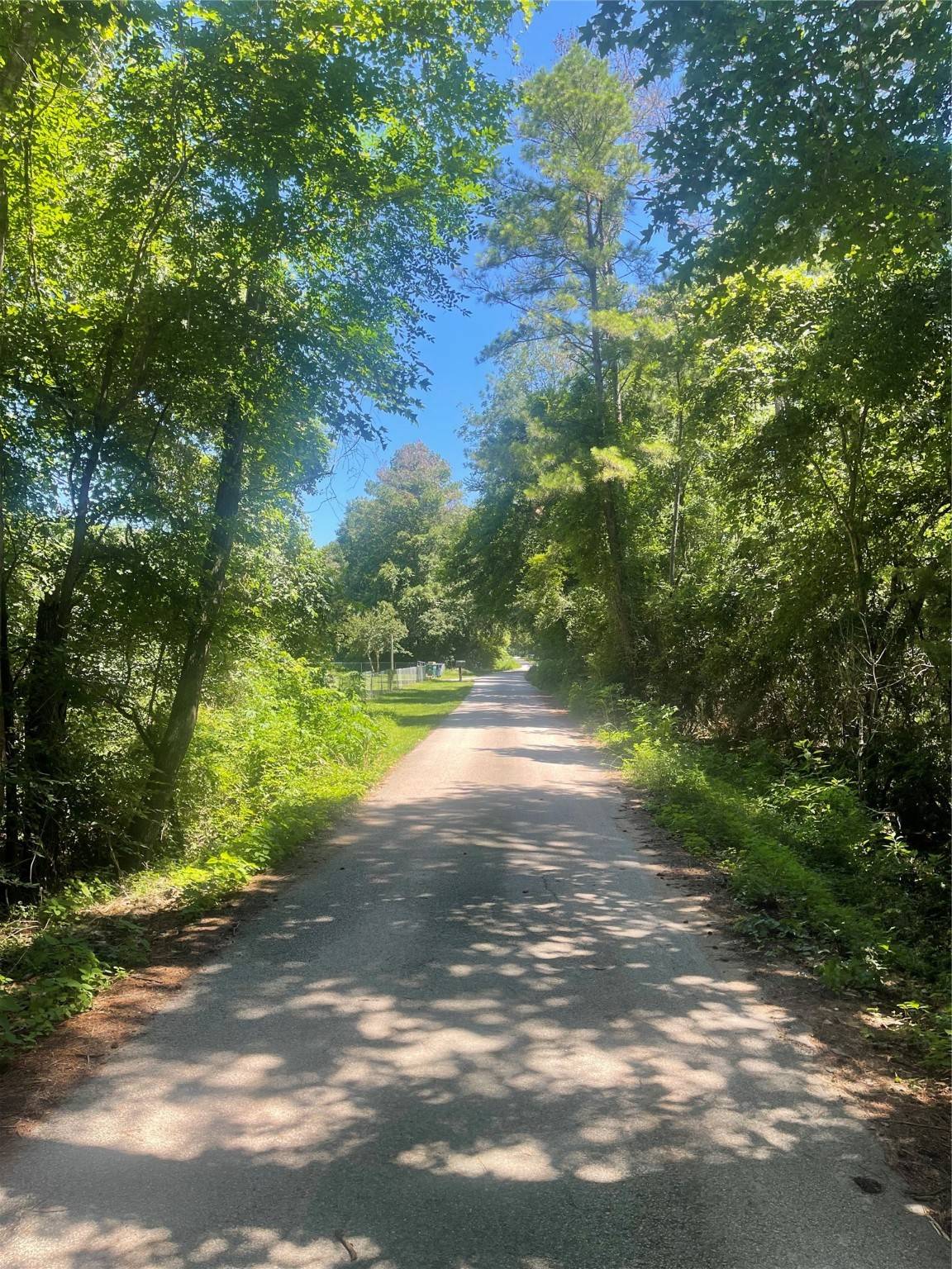 Magnolia, TX 77355,0 Klein