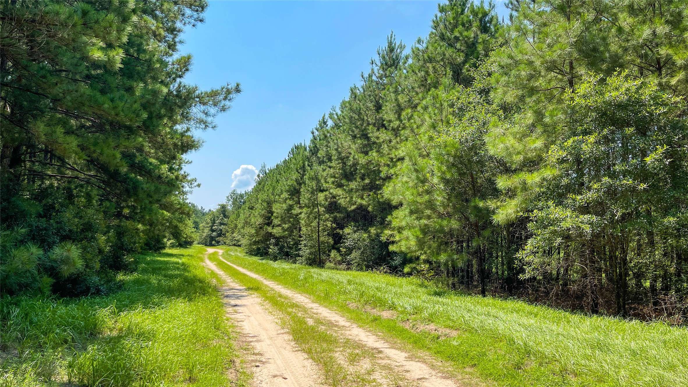 Kirbyville, TX 75966,1165 County Road 3064