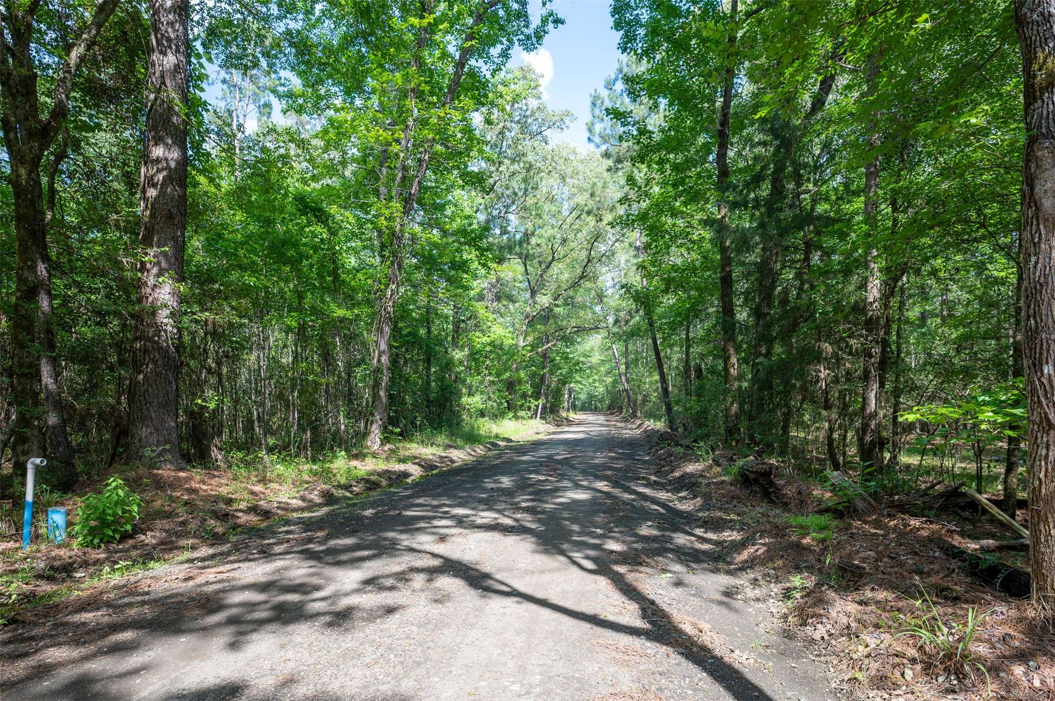 Woodville, TX 75979,tbd US Highway 190 E