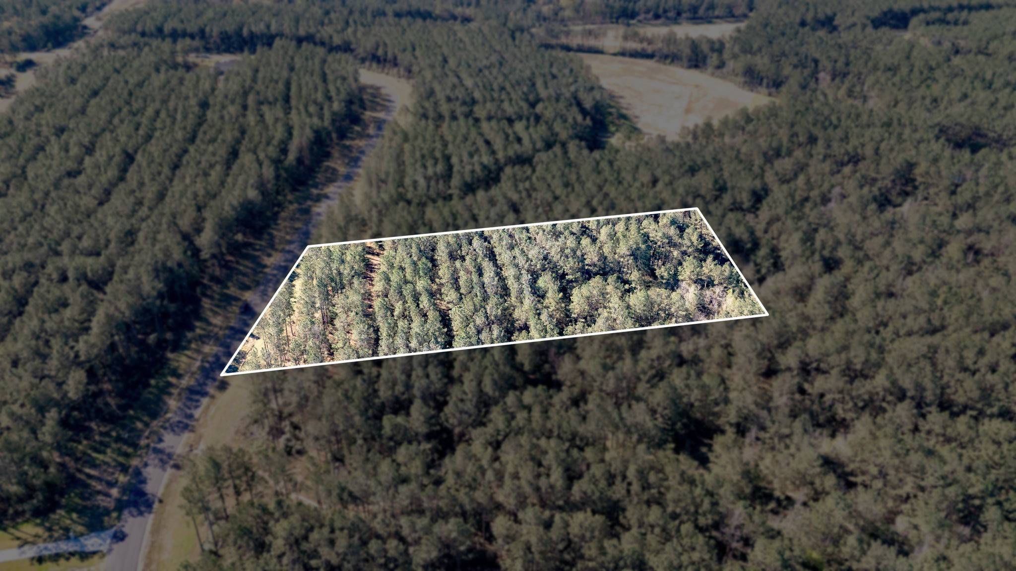 Willis, TX 77378,15363 Forest Grove DR