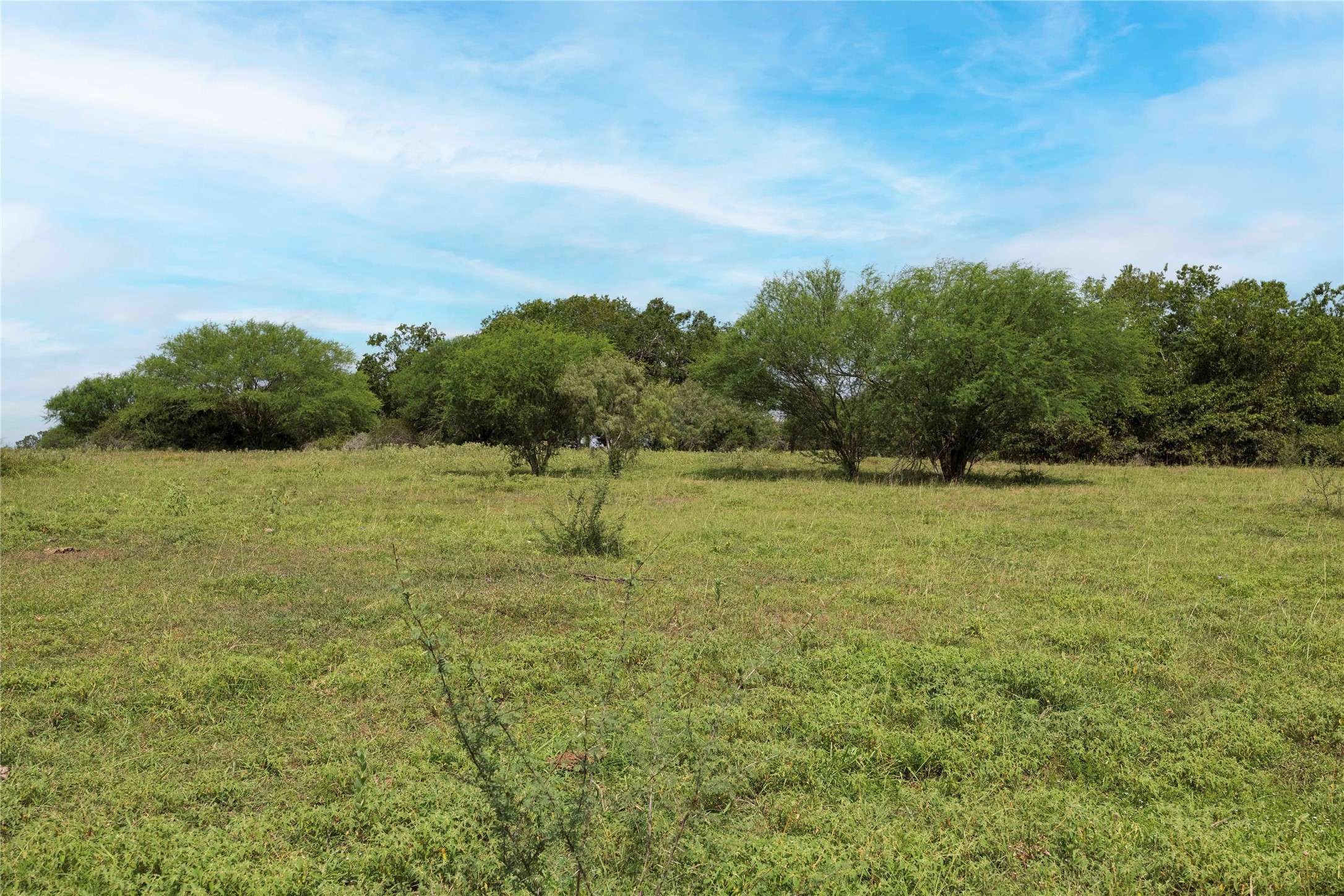 Hallettsville, TX 77964,TBD CR 214 - Tract 3