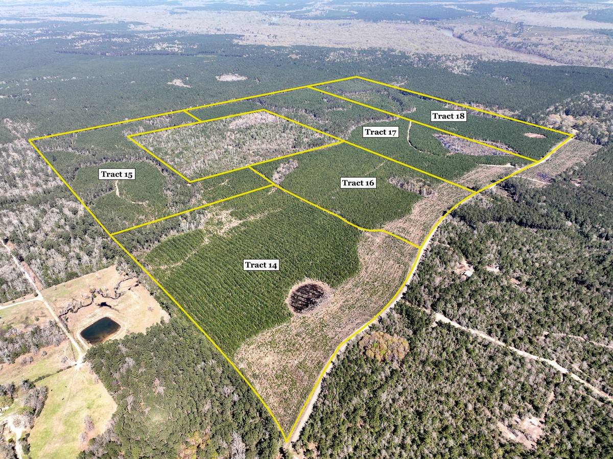 Spurger, TX 77660,000 County Rd 4415