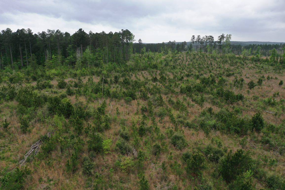 San Augustine, TX 75972,Tract 5 CR 255