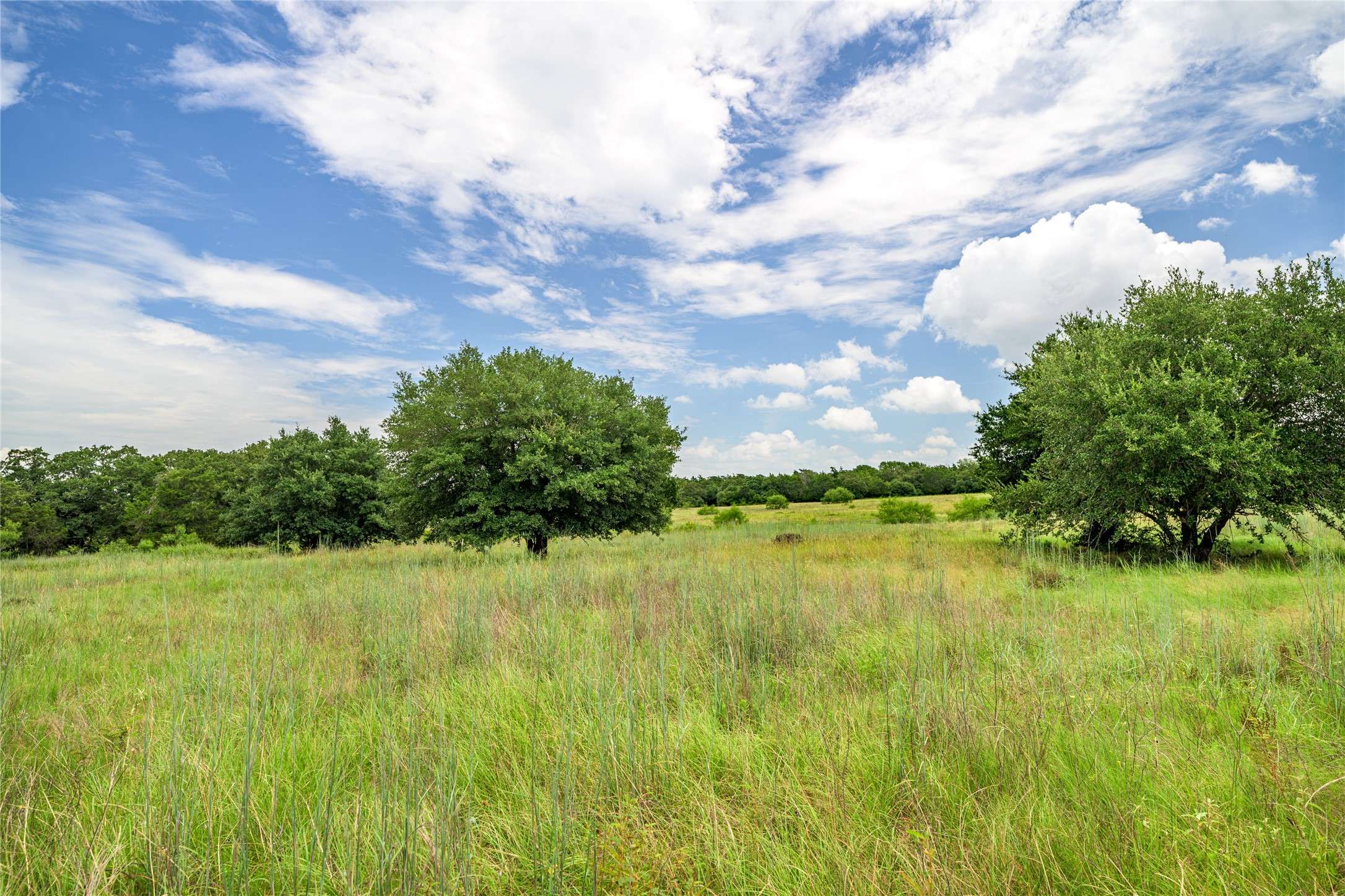 Giddings, TX 78942,TBD Private Road 2904